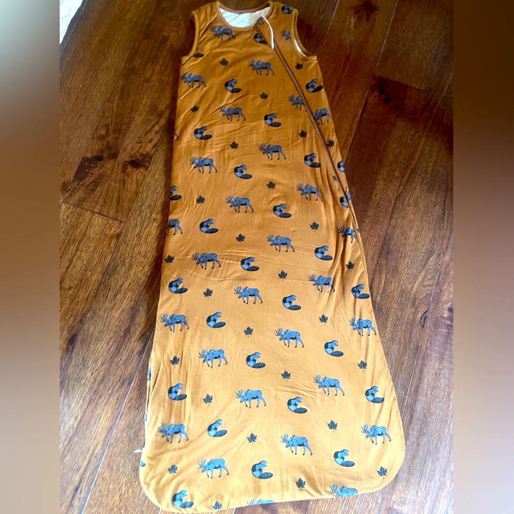 Kyte Baby 1.0 Sleep Bag